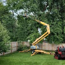 Best Utility Line Clearance  in Clinton, TN